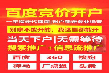 SEM广告投放优化案例研究